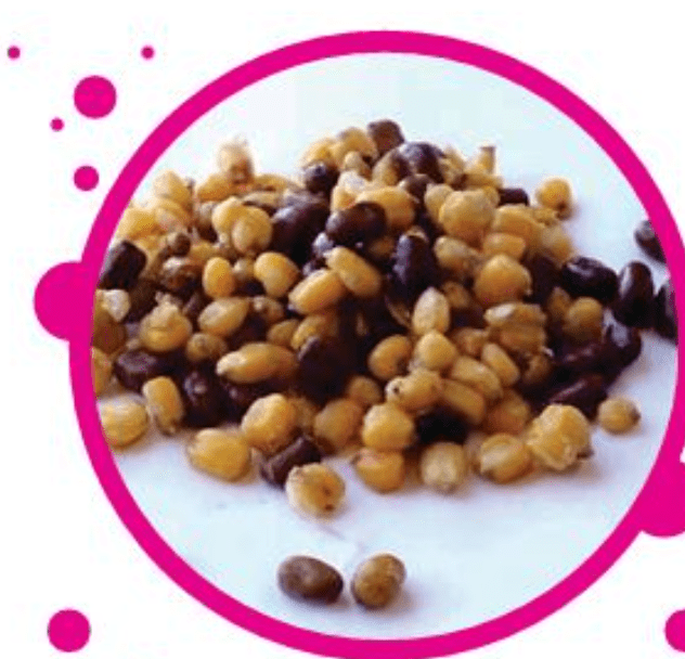 Particles for Fishing Chufa Cocida Standard 4kg (Cubo) - Imagen 4