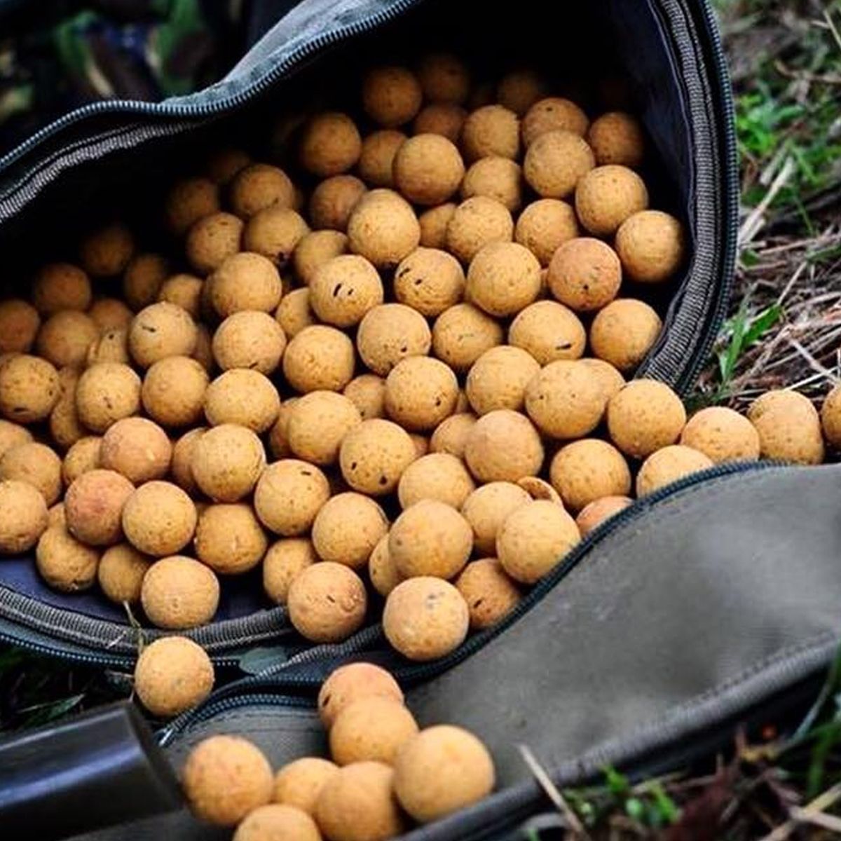 CC Moore Live System Boilies 18mm 1kg - Imagen 2