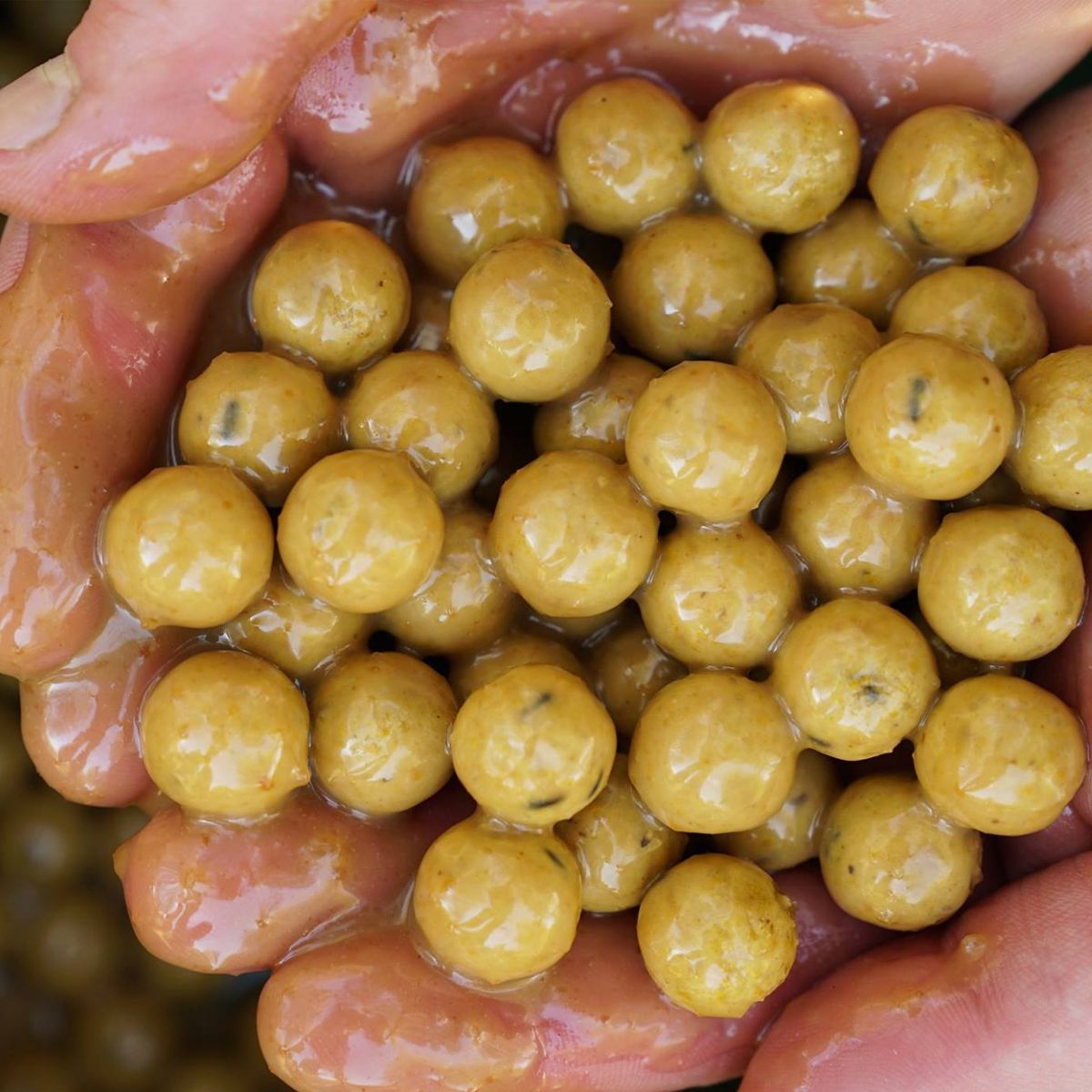 CC Moore Live System Boilies 24mm 1kg - Imagen 3