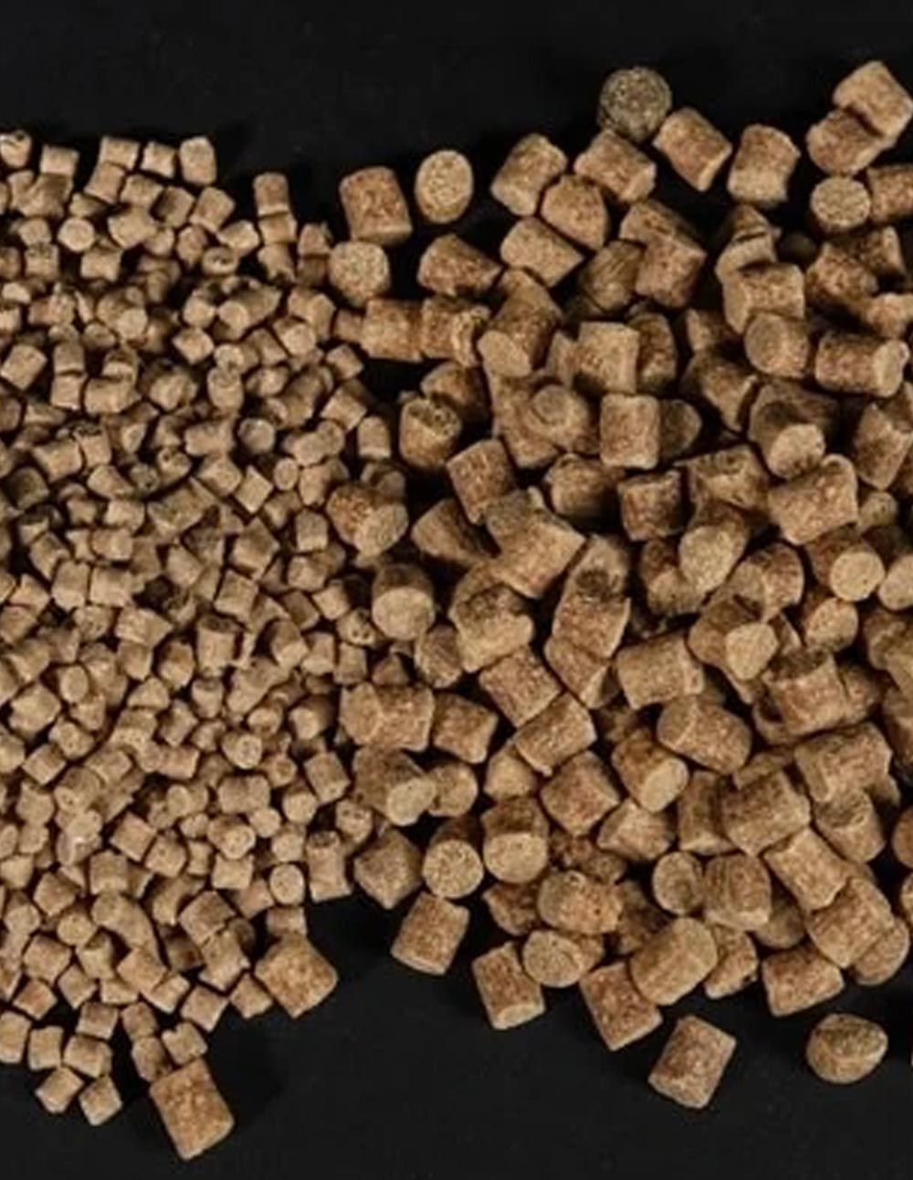 CC Moore Live System Pellets 3mm 1kg - Imagen 3