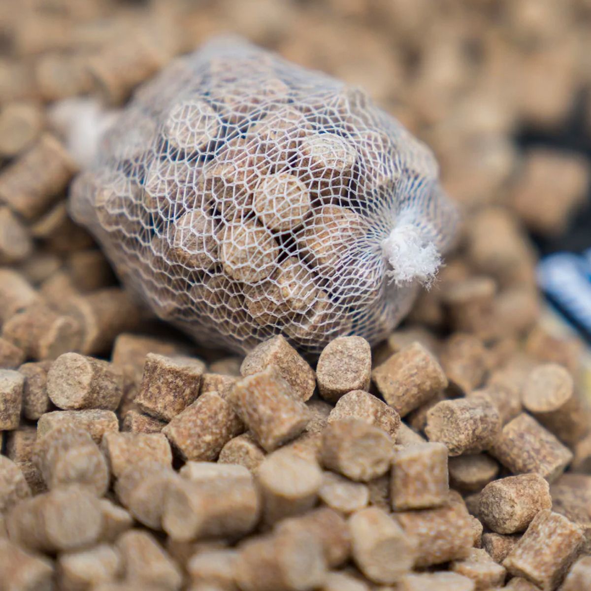 CC Moore Live System Pellets 6mm 5kg - Imagen 3