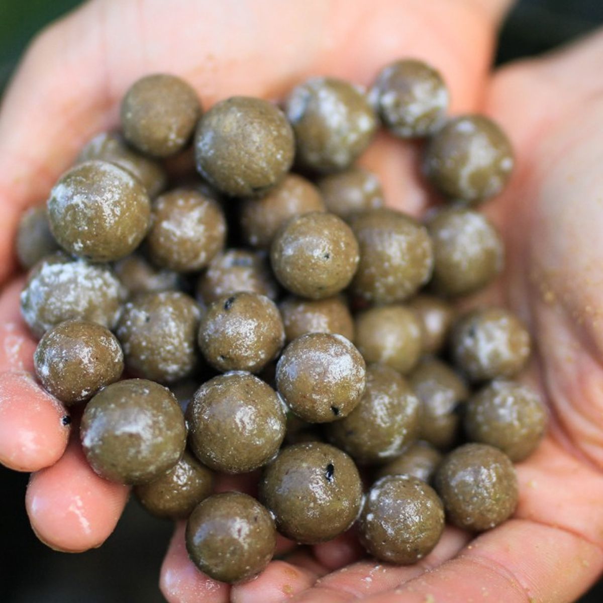 CC Moore Odyssey XXX Boilies 15mm 5kg - Imagen 5