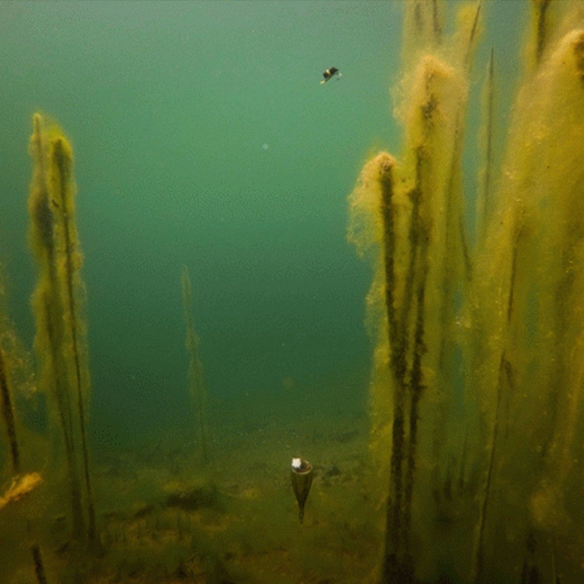 Fox Edges Zig Float Kit - Imagen 5