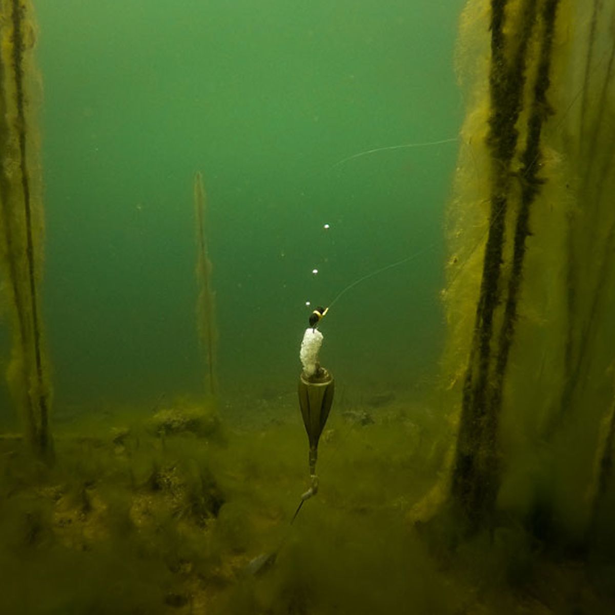 Fox Edges Zig Float Kit - Imagen 8