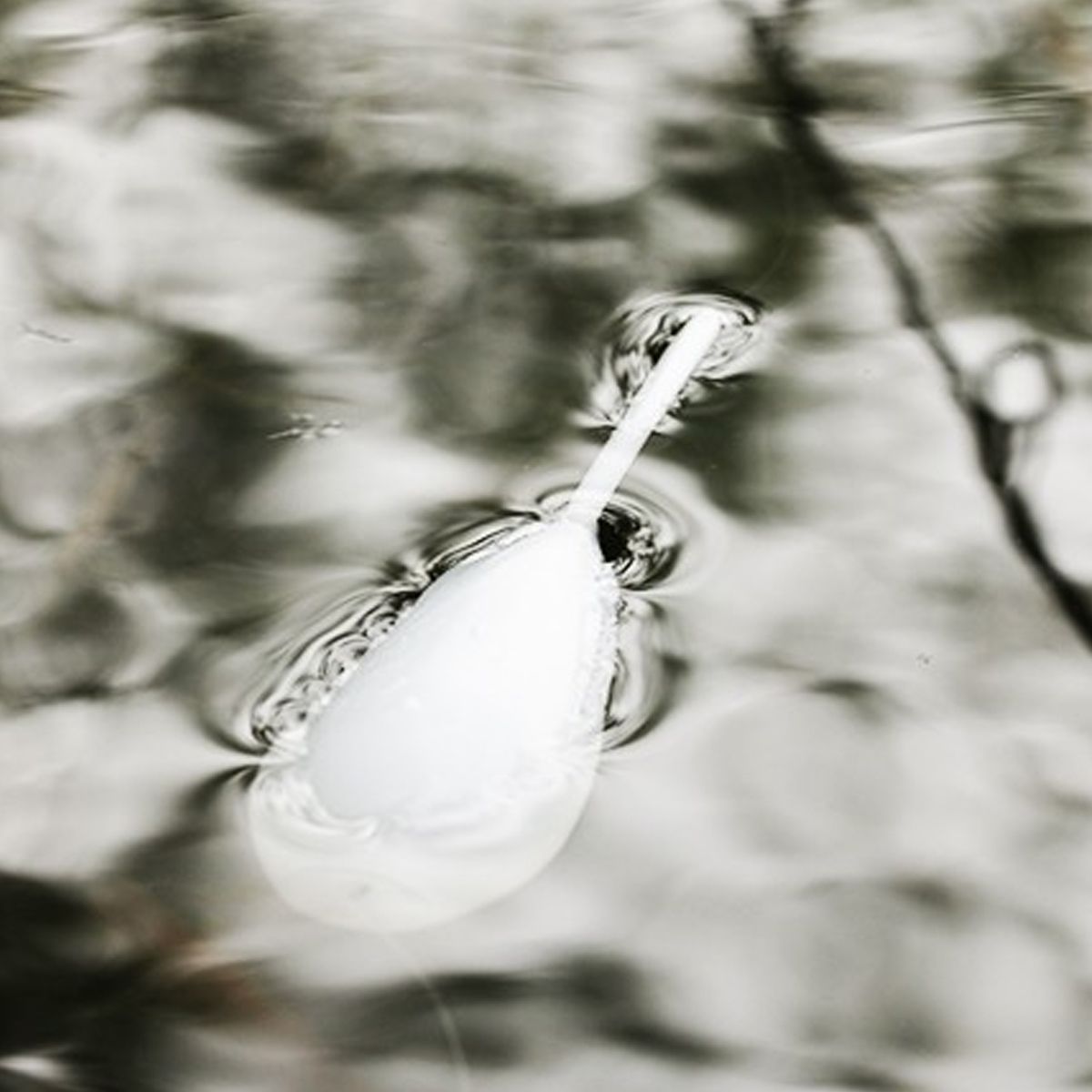 Korda Interceptor Controller Float 15gr - Imagen 4