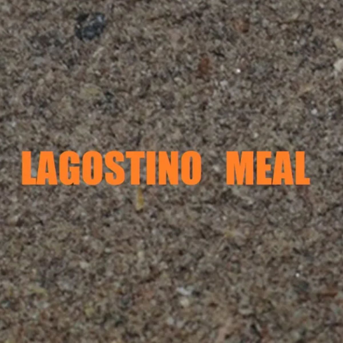 Massive Baits Langostino Meal 1kg - Imagen 3