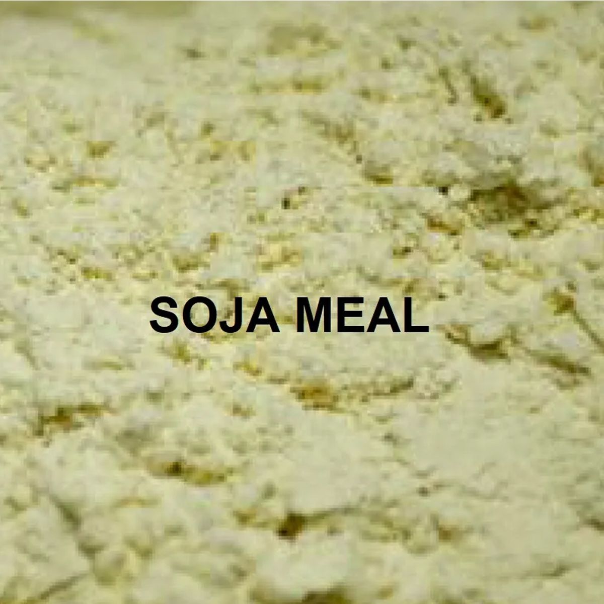 Massive Baits Soja Meal Con Grasa 1kg - Imagen 3