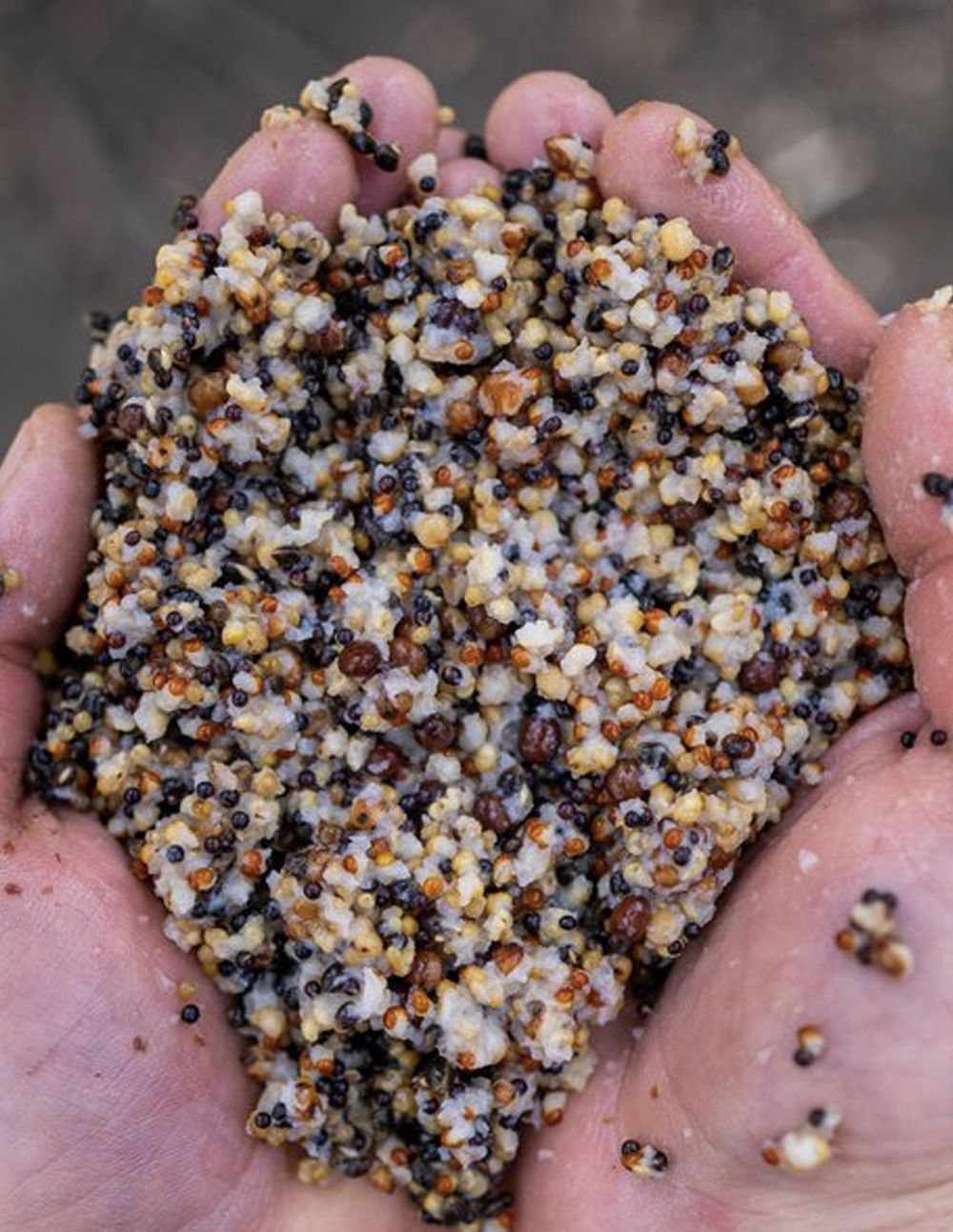 Nash Small Seed Mix 500ml - Imagen 4