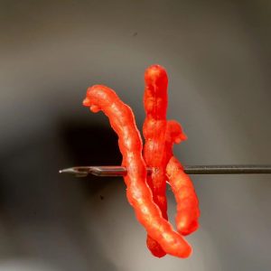 One More Cast Bloodliner Tippers