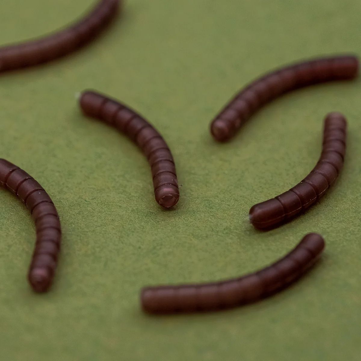 One More Cast Dazzlers Wormaliner Curve Large - Imagen 5