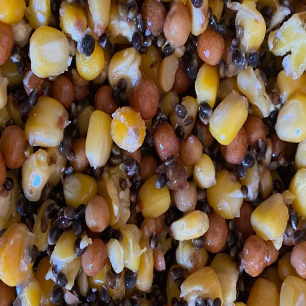 Particles for Fishing Cubo Semilla Cocida Diamond Mix 5kg - Imagen 2