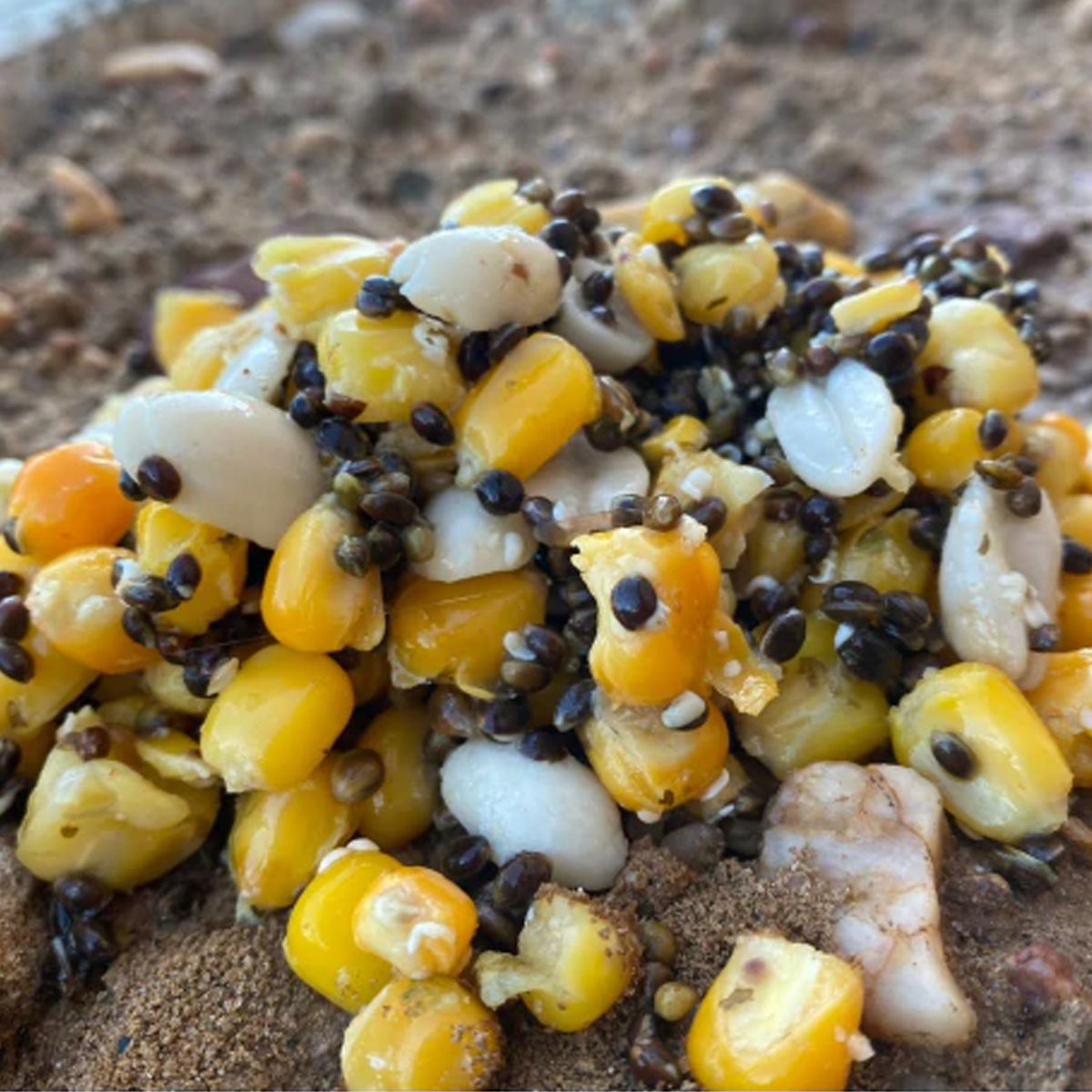 Particles for Fishing Semilla Cocida Ultimate 1kg - Imagen 3