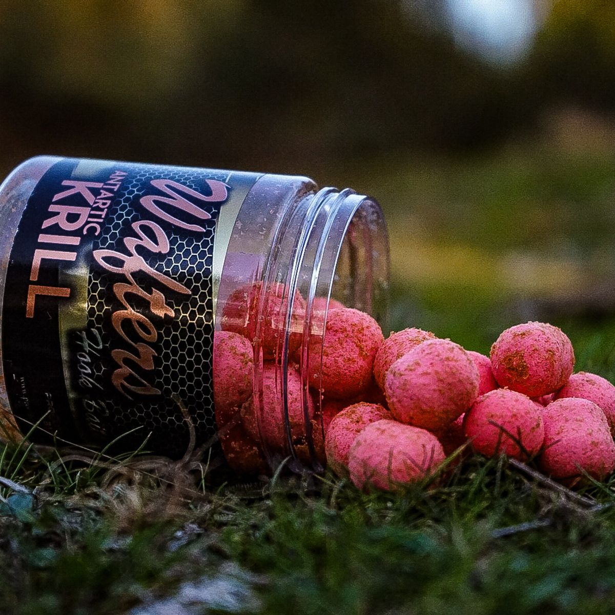 Pro Elite Baits Antartic Krill Gold Wafter HB Boilie+Dumbell 14mm 250ml - Imagen 3