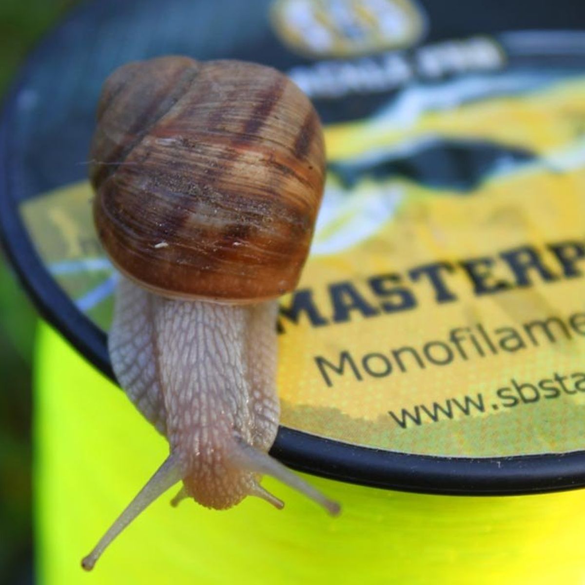 SBS Masterpiece Mono Line Yellow 0.40mm (25lb / 11,4kg) - Imagen 2