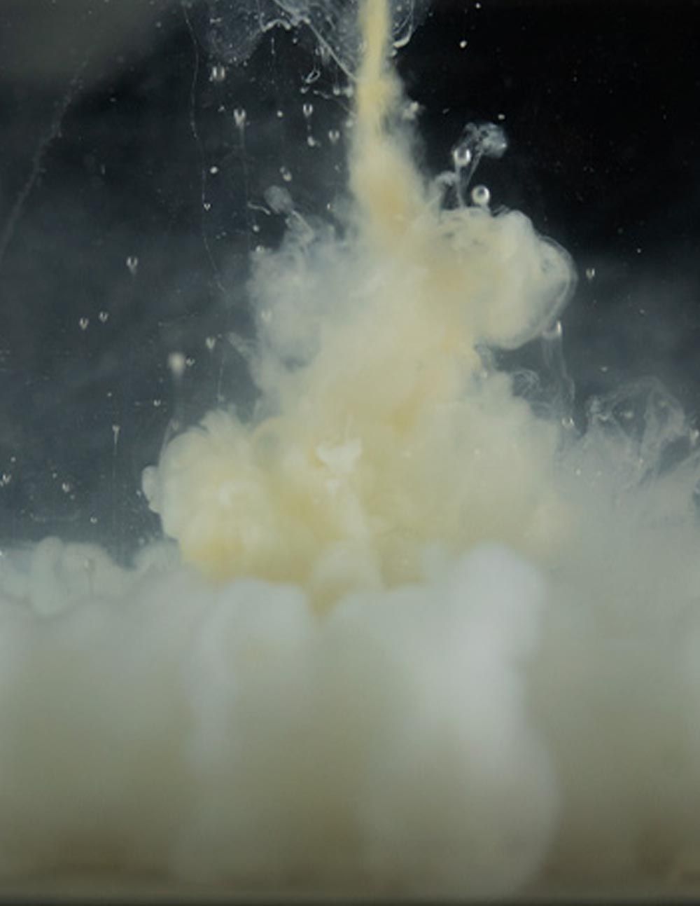 Sticky Baits Cloudy Manilla Liquid 1ltr - Imagen 4