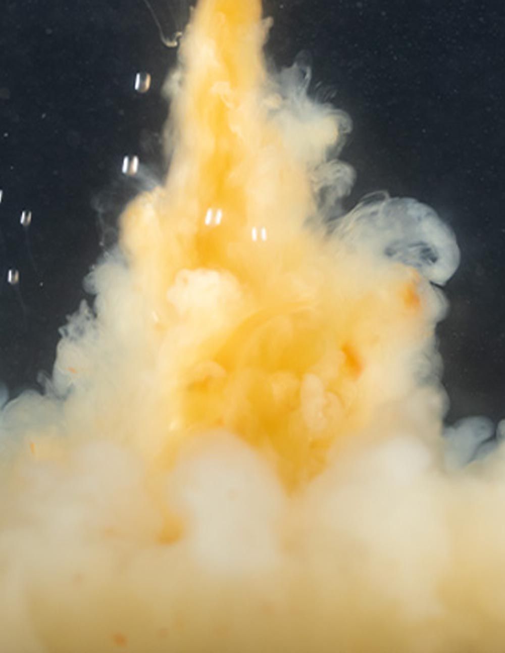 Sticky Baits Cloudy The Krill Liquid 1ltr - Imagen 4