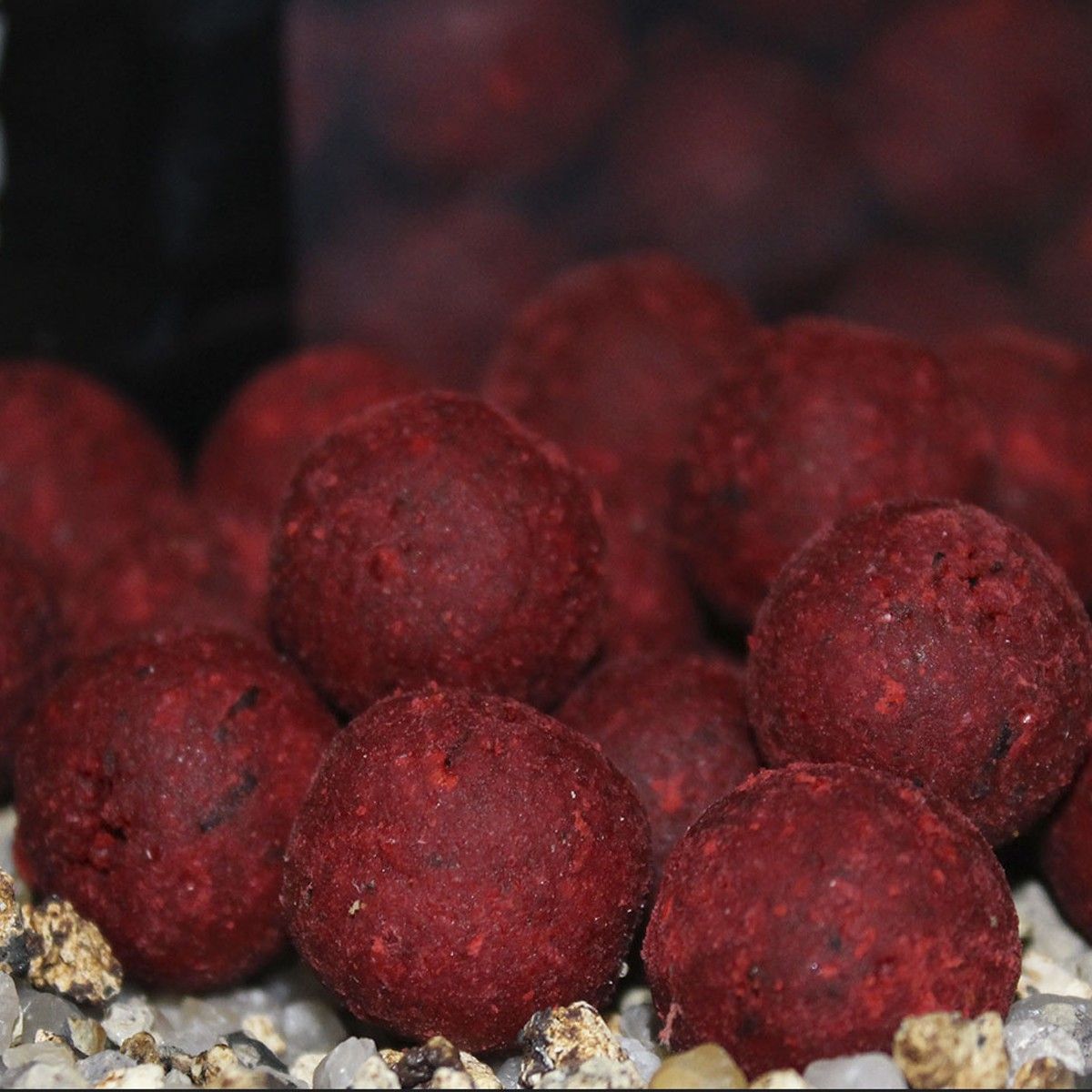 Trybion Boilie Cyprinus Max 20mm 800g - Imagen 2