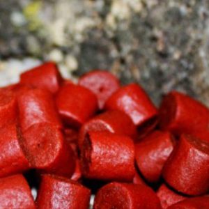 Trybion Hook Pellets Cyprinus Max 21mm 220gr