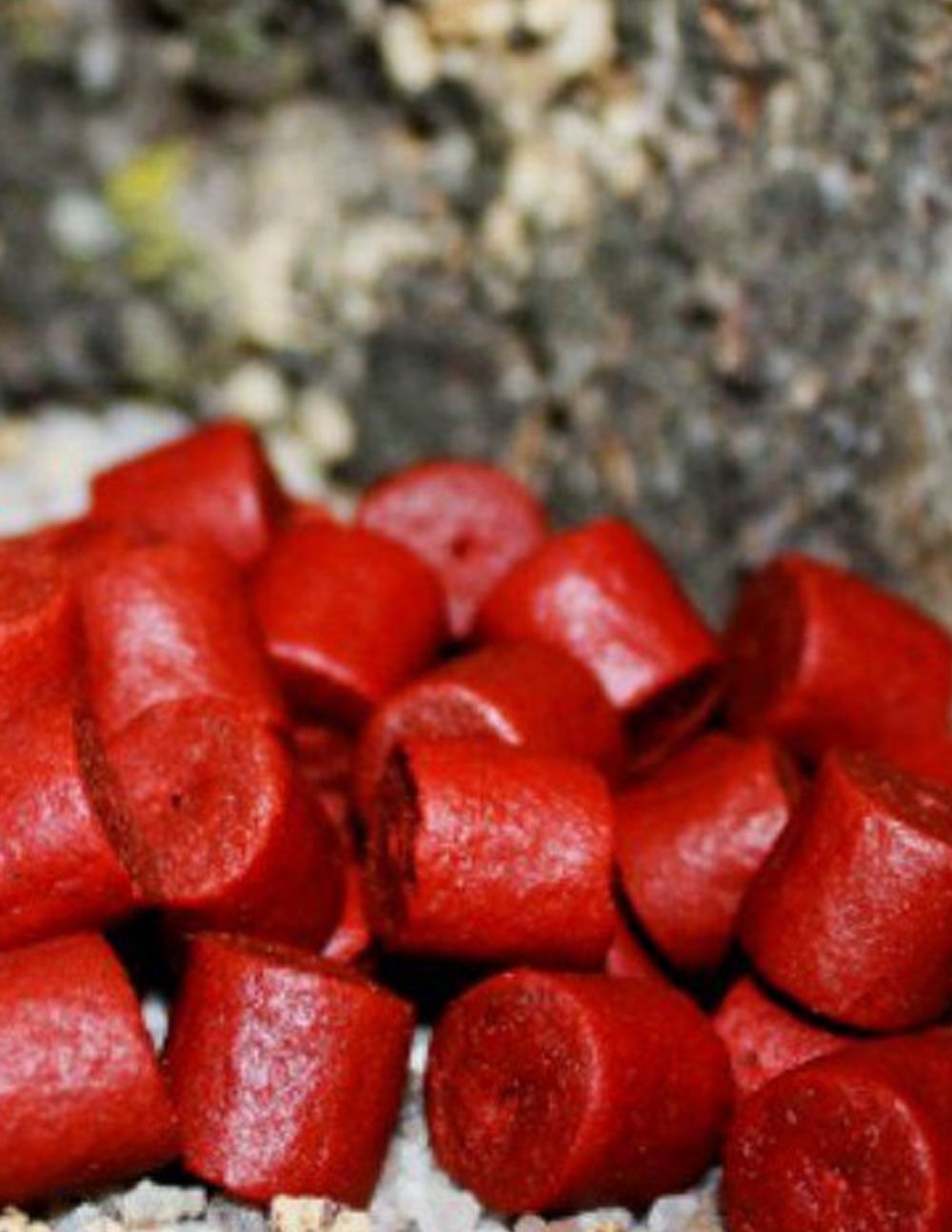 Trybion Hook Pellets Cyprinus Max 21mm 220gr - Imagen 2