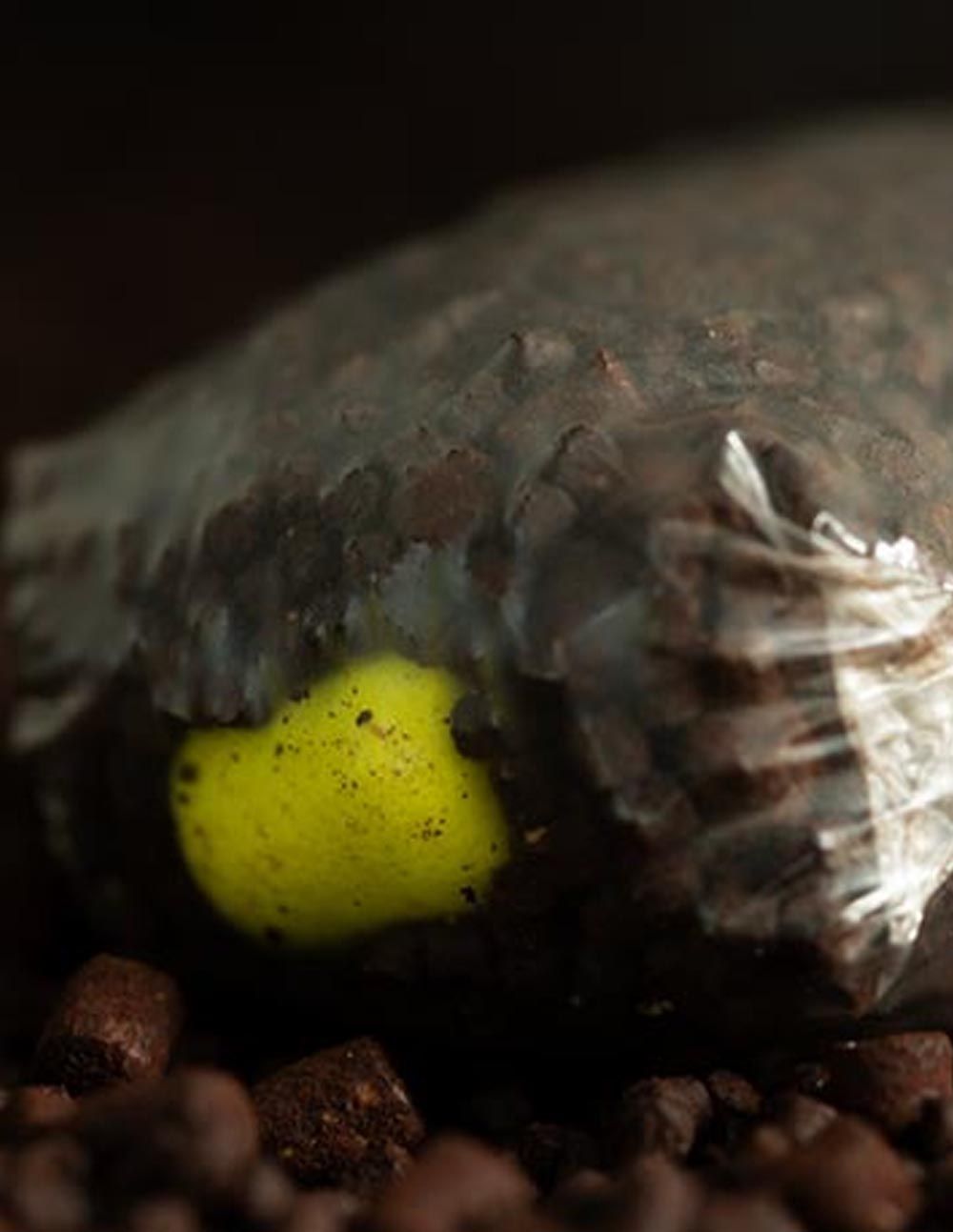 Sticky Baits Pineapple & N’Butyric Wafters 130gr - Imagen 2